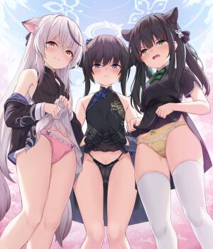 3girls absurdres angry animal_ear_fluff animal_ears bare_shoulders black_dress black_gloves black_hair black_jacket black_panties blue_archive blue_eyes blush bow bow_panties braid braided_bun breasts butterfly_hair_ornament china_dress chinese_clothes clenched_teeth clothes_lift cloud coat commentary_request double_bun dragon_print dress dress_lift extra_ears feet_out_of_frame female_focus flower from_below frown gloves green_eyes grey_coat grey_hair groin hair_bun hair_ornament halo highres jacket kisaki_(blue_archive) knees kokona_(blue_archive) lifting_own_clothes loli long_hair long_sleeves looking_at_viewer milkshakework multicolored_hair multiple_girls off_shoulder open_mouth orange_eyes outdoors panties panties_day pelvic_curtain pink_panties pinstripe_pattern print_dress scowl short_dress short_sleeves shun_(blue_archive) shun_(small)_(blue_archive) side_slit sidelocks sky sleeveless sleeveless_dress small_breasts standing streaked_hair striped_clothes striped_coat striped_dress tearing_up tears teeth thighhighs thighs tiger_ears tiger_girl twintails two_side_up underwear vertical-striped_coat very_long_hair white_thighhighs yellow_panties