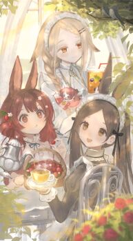 4girls alternate_costume animal_ears apron basket bird bird_request black_dress black_ribbon blonde_hair blue_ribbon blunt_bangs blurry blurry_foreground bottle braid braided_ponytail brown_eyes brown_hair chair closed_mouth colored_eyelashes commentary_request cup curtains depth_of_field dress drinking_glass drinking_straw extra_ears fairy fairy_wings flower food food-themed_hair_ornament frilled_apron frills from_behind fruit gakuen_idolmaster hair_ornament hair_ribbon hair_rings hairclip hanami_saki hanami_ume hand_up high_collar highres holding holding_bottle holding_food holding_fruit holding_saucer holding_teapot idolmaster indoors juliet_sleeves kemonomimi_mode kiwi_(fruit) kiwi_slice konkontsuki kuramoto_china lemonade long_sleeves looking_at_object looking_up maid_headdress multiple_girls neck_ribbon open_mouth orange_(fruit) orange_slice out_of_frame parallel_hairclips parted_bangs pinafore_dress pink_dress pouring puffy_sleeves rabbit_ears rabbit_girl red_flower ribbon saucer shinosawa_hiro shirt side_up_ring single_braid sitting sleeveless sleeveless_dress sleeves_rolled_up smile standing strawberry strawberry_hair_ornament sunlight table tea teacup teapot tree twintails white_apron white_dress white_headdress white_shirt window wings