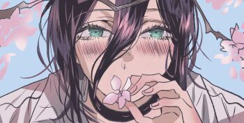 1girl black_choker blue_sky blush busuttt chainsaw_man cherry_blossoms choker collared_shirt flower flower_over_mouth green_eyes hair_between_eyes highres holding holding_flower looking_at_viewer medium_hair pink_flower purple_hair reze_(chainsaw_man) shirt sky solo upper_body white_shirt