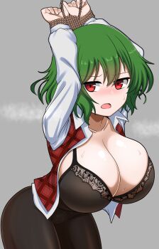 Rule 34 | 1girl, absurdres, black bra, black pantyhose, blush, bound, bra, breasts, cleavage, commentary request, green hair, grey background, highres, huge breasts, kazami yuuka, lingerie, long sleeves, looking at viewer, open clothes, open mouth, pantyhose, red eyes, red vest, restrained, short hair, simple background, solo, sweat, touhou, underwear, vest, zawapirori