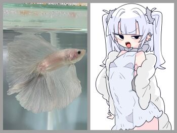 1boy animal arched_back armpits bare_shoulders black_eyes blunt_bangs border bow bra bra_strap choker collarbone commentary covered_navel cowboy_shot crossdressing crossdressing_(mtf) dress ear_piercing eve_(op_na_yarou) fangs fish fur-trimmed_jacket fur_trim grey_border grey_bow grey_bra grey_choker hair_intakes hair_tie hand_on_own_hip highres jacket long_sleeves looking_at_viewer male_focus medium_hair microdress mixed_media mole mole_under_eye narrowed_eyes no_nose notched_ear off_shoulder op_na_yarou open_clothes open_jacket open_mouth original photo_(medium) piercing real_life see-through_clothes see-through_dress sidelocks simple_background sleeveless sleeveless_dress sleeves_past_fingers sleeves_past_wrists solo standing trap two_side_up underwear v-shaped_eyebrows white_background white_dress white_hair white_jacket