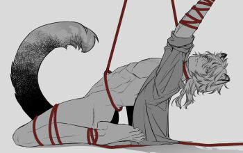 Rule 34 | 1boy, abs, animal ears, ark1478, arknights, barefoot, bdsm, bondage, bottomless, bound, bound arms, commentary request, full body, greyscale, highres, kneeling, long hair, looking at viewer, male focus, medium hair, monochrome, naked shirt, open clothes, open shirt, pectorals, red rope, rope, shibari, shirt, silverash (arknights), simple background, snow leopard boy, snow leopard ears, snow leopard tail, solo, spot color, tail, toned, toned male