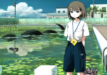 1girl arms_behind_back black_eyes black_shorts blue_sky booklet brown_hair bucket bug building closed_mouth cloud commentary_request cryptid day dragonfly empty_eyes expressionless feet_out_of_frame fence fish giba_ryan gym_shorts gym_uniform highres insect lanyard lily_pad looking_at_viewer mating_(animal) monster original outdoors overgrown palm_tree pool pool_ladder power_lines reflection reflective_liquid scenery shirt_tucked_in short_hair short_sleeves shorts sky solo standing starting_block tree utility_pole