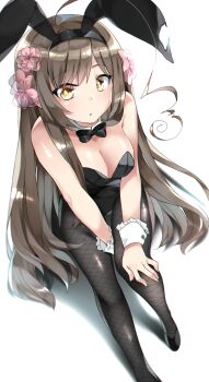 Rule 34 | 1girl, ahoge, animal ears, axis powers hetalia, black footwear, black hairband, black leotard, black pantyhose, bow, bowtie, breasts, brown hair, commentary request, detached collar, fake animal ears, female focus, flower, foreshortening, frilled cuffs, hair flower, hair ornament, hairband, high heels, highres, kyusai kuma, leotard, long hair, looking at viewer, pantyhose, playboy bunny, rabbit ears, sitting, solo, taiwan (hetalia), torn hair ribbon, very long hair, wrist cuffs, yellow eyes