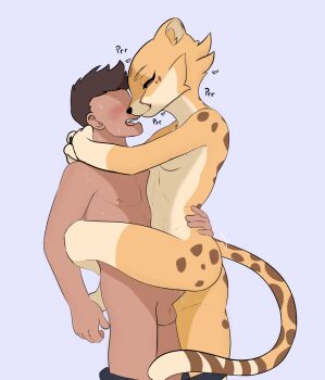 1boy 1girl animal_nose arm_around_waist arms_around_neck black_hair blue_background blush borrowed_character breasts cheetah_girl closed_mouth faceless faceless_male from_side furry furry_female furry_with_non-furry haaru half-closed_eyes heart hetero highres interspecies leg_up open_mouth original penis sex short_hair small_breasts smile standing standing_sex sweat tail tall_female testicles