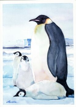 animal animal_focus aris_0827 bird border commentary_request day emperor_penguin no_humans original outdoors painting_(medium) penguin signature traditional_media watercolor_(medium) white_border