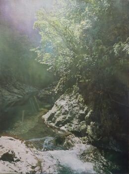 Rule 34 | blue sky, commentary request, day, forest, highres, naohiro ito, nature, no humans, original, outdoors, painting (medium), realistic, river, riverbank, scenery, shadow, sky, stream, sunlight, traditional media, tree, tree shade