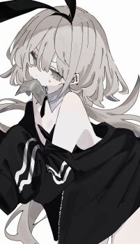 1girl amlle_66 banknote bare_shoulders black_hairband black_jacket collar grey_hair hairband highres jacket long_hair money mouth_hold original playboy_bunny simple_background solo white_background white_collar