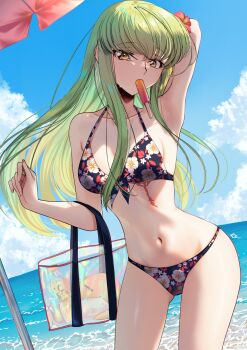 absurdres arm_behind_head bag bare_shoulders beach beach_umbrella bikini blue_sky breasts budgiepon c.c. cloud code_geass collarbone floral_print floral_print_bikini flower flower_on_head food green_hair hair_flower hair_ornament handbag highres long_hair navel ocean popsicle print_bikini sky small_breasts solo solo_focus standing swimsuit umbrella water yellow_eyes