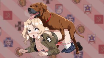 1girl all_fours animated animated_gif bestiality blonde_hair blue_eyes blue_shorts blush bouncing_breasts breasts cleavage collarbone dog doggystyle full_body girls_und_panzer hanging_breasts highres jacket kay_(girls_und_panzer) large_breasts long_hair military_uniform nipples no_bra open_clothes open_jacket panties panty_pull panzerhound ponytail saunders_military_uniform sex sex_from_behind shorts shorts_around_one_leg thighhighs tongue tongue_out underwear white_thighhighs
