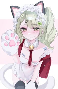 1girl absurdres alternate_costume animal_ear_hairband animal_ears animal_hands bandaid bandaid_on_breast bell black_thighhighs blush border breasts cat_ear_hairband cat_ears chedisu cleavage closed_mouth collarbone commentary_request cowboy_shot detached_collar dress fake_animal_ears fake_tail frilled_dress frills ghost_hair_ornament gloves green_eyes green_hair hair_ornament hairband hand_up highres leaning_forward looking_at_viewer maid_headdress multiple_hair_clips neck_bell necktie paw_gloves pink_background ponytail red_bag red_necktie small_breasts solo sunna_(zenless_zone_zero) sweat tail thighhighs triangle_hair_ornament white_border white_dress white_tail zenless_zone_zero