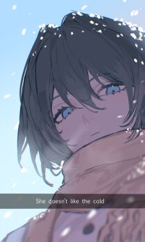 1girl 1nuyaki black_hair blue_eyes blue_sky caption closed_mouth english_text from_below grey_scarf highres honkai:_star_rail honkai_(series) looking_at_viewer ruan_mei_(honkai:_star_rail) scarf sky snow_on_head snowing solo upper_body