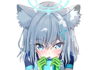 Rule 34 | 1girl, animal ear fluff, animal ears, bike jersey, blue archive, blue eyes, blue halo, blush, bottle, commentary, dappled sunlight, day, drinking, eyelashes, eyes visible through hair, gloves, green gloves, grey hair, hair between eyes, halo, highres, holding, holding bottle, looking at viewer, medium hair, official alternate costume, outdoors, paid reward available, retumihari, shiroko (blue archive), shiroko (cycling) (blue archive), short sleeves, simple background, slit pupils, solo, straight-on, sunlight, sweat, upper body, upturned eyes, white background, wolf ears, wolf girl