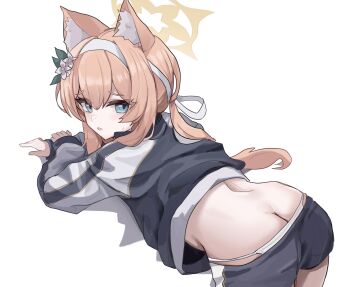 1girl animal_ears ass blue_archive blue_eyes blue_jacket butt_crack cat_ears cat_girl clothes_pull commentary_request flower from_behind hair_flower hair_ornament hairband halo highres jacket lastmatch500 looking_at_viewer mari_(blue_archive) mari_(track)_(blue_archive) official_alternate_costume orange_hair orange_halo panties shorts shorts_pull simple_background solo underwear white_background white_hairband white_panties