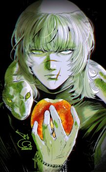 Rule 34 | 1boy, apple, badeni, bae (baebae), black background, black tabard, blind eye, blue eyes, chi.: chikyuu no undou ni tsuite, closed mouth, commentary request, cross, cross necklace, dated, food, fruit, highres, holding, holding food, holding fruit, jewelry, korean commentary, male focus, necklace, scar, scar on face, scar on mouth, short hair, signature, simple background, snake, snake wrapped around neck, tabard, tonsure