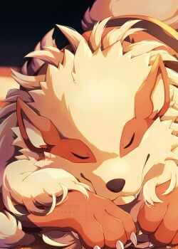 Rule 34 | 1other, absurdres, arcanine, claws, closed eyes, closed mouth, gen 1 pokemon, highres, kechon-san, lying, nintendo, no humans, on stomach, pokemon, pokemon (creature), shadow, sharp teeth, sleeping, solo, tagme, teeth, twitter username, watermark