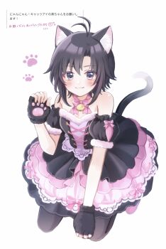 1girl :3 absurdres alternate_costume animal_ear_fluff animal_ears antenna_hair bell black_dress black_gloves black_hair blush bow bowtie cat_ears cat_tail closed_mouth commentary_request cross-laced_clothes cross-laced_dress detached_sleeves dress fingerless_gloves frilled_dress frills full_body gloves grey_eyes highres idolmaster idolmaster_(classic) idolmaster_million_live! idolmaster_million_live!_theater_days jingle_bell kikuchi_makoto kneeling layered_dress looking_at_viewer neck_bell nyannyan_cat&#039;s_eye_(idolmaster) paw_print pawpads pink_bow pink_bowtie pink_dress puffy_detached_sleeves puffy_sleeves request_inset shirako_(srk_srtk) short_hair smile solo strapless strapless_dress tail translation_request two-tone_dress