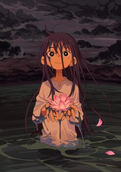1girl absurdres ahoge black_clouds black_eyes black_hair cloud cloudy_sky falling_petals flower hair_between_eyes highres holding holding_flower looking_at_viewer lotus mud original outdoors petals ratsuparu shirt sky solo upper_body wading wet white_shirt