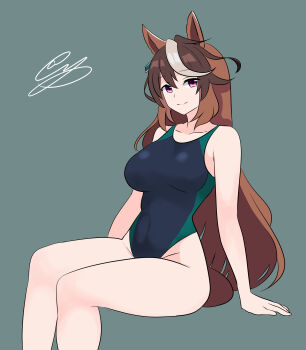 1girl absurdres animal_ears arm_support black_one-piece_swimsuit breasts brown_hair collarbone commentary covered_navel grey_background highres horse_ears horse_girl invisible_chair long_hair looking_at_viewer multicolored_hair noruren one-piece_swimsuit pink_eyes signature simple_background sitting solo streaked_hair swimsuit symboli_rudolf_(umamusume) umamusume