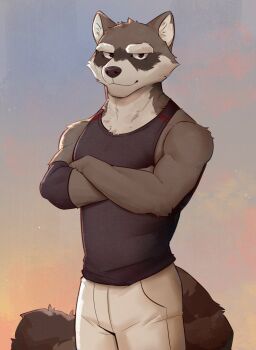 1boy 9klipse animal_ears black_tank_top commentary crossed_arms dusk echo_(visual_novel) echo_project english_commentary furry furry_male highres kudzu_(echo) looking_at_viewer male_focus orange_sky pants raccoon_boy raccoon_ears raccoon_tail shirt sky sleeveless sleeveless_shirt smile tail tank_top toned toned_male white_pants