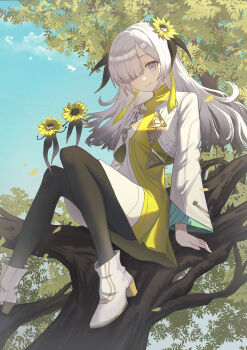 1girl absurdres blue_sky boots butaikun closed_mouth commentary_request day flower full_body grey_eyes grey_hair hair_flower hair_ornament hair_over_one_eye high_heel_boots high_heels highres in_tree isekaijoucho kamitsubaki_studio knees_up long_hair long_sleeves looking_at_viewer outdoors pantyhose sitting sitting_in_tree sky smile solo sunflower sunflower_hair_ornament tree virtual_youtuber white_boots
