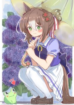 1girl animal_ears blush brown_hair closed_mouth clover_hair_ornament ear_ornament fine_motion_(umamusume) flower frog green_eyes hair_between_eyes hair_bun hair_ornament highres holding holding_umbrella horse_ears horse_girl horse_tail long_hair multicolored_hair namatyoco outdoors rain school_uniform shirt shoes skirt smile squatting tail thighhighs thighs umamusume umbrella white_hair white_thighhighs