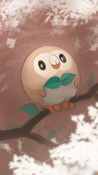 bird branch bright_pupils closed_mouth commentary_request gen_7_pokemon highres leaf looking_at_viewer nintendo no_humans on_branch pokemon pokemon_(creature) pokemon_focus rowlet solo sushimi_(nijoujou) white_pupils