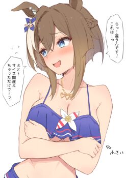 1girl animal_ears bikini blue_bikini breasts brown_hair cheval_grand_(summer_calm_navy_drop)_(umamusume) cheval_grand_(umamusume) cleavage collarbone commentary_request crossed_arms heart heart_necklace highres himura_anzu horse_ears horse_girl jewelry looking_at_viewer medium_breasts multicolored_hair necklace open_mouth short_hair simple_background solo speech_bubble streaked_hair swimsuit translation_request umamusume underboob white_background white_hair