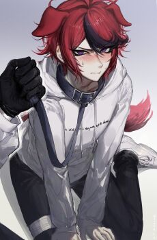 2boys absurdres animal_ears aotsuki_eito black_collar black_gloves black_pants black_streaks blue_eyes blush collar commentary dog_boy dog_ears dog_tail gloves highres holding holding_leash hood hoodie kemonomimi_mode leash looking_at_viewer male_focus multicolored_hair multiple_boys nose_blush out_of_frame pants pov pov_hands r314dor red_hair ringed_eyes shoes short_hair sitting solo_focus streaked_hair sumino_takumi sweat symbol-only_commentary tail the_hundred_line_-last_defense_academy- white_hoodie white_shoes yaoi