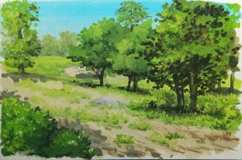 absurdres blue_sky bush commentary_request day grass harusa1107 highres nature no_humans original outdoors painting_(medium) plant scenery sky traditional_media tree watercolor_(medium)