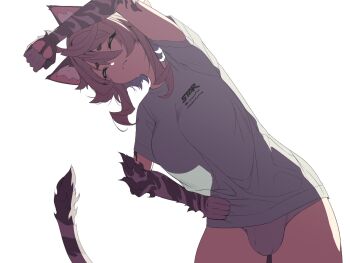 1girl animal_ears animal_hands backlighting breasts brown_hair bulge cat_ears cat_girl cat_paws cat_tail closed_eyes closed_mouth commentary_request cowboy_shot futanari grey_fur hair_between_eyes hand_on_own_hip highres large_breasts no_pants original panties see-through_silhouette shirt short_eyebrows short_hair short_sleeves simple_background solo standing stretching t-shirt tail thick_eyebrows underwear white_background white_panties white_shirt yagatake_arashi_(nekoarashi) yana_(nekoarashi)