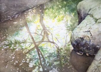 commentary_request day highres kazuyuki_hashimoto nature no_humans original outdoors puddle reflection reflection_focus reflective_liquid rock scenery