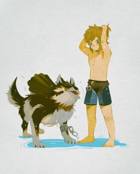 :/ :p arms_up barefoot belt belt_buckle blonde_hair blue_eyes blue_shorts blush brown_belt buckle closed_eyes closed_mouth commentary cuffs full_body highres link male_focus multiple_belts nintendo pisu_1107 pointy_ears shackles shorts standing symbol-only_commentary the_legend_of_zelda the_legend_of_zelda:_twilight_princess tongue tongue_out topless_male tying_hair wet wolf_link