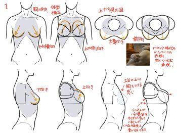 Rule 34 | arrow (symbol), bra, breasts, check translation, colored lineart, from above, from side, guide, highres, how to, katou kouta, lineart, original, photo inset, simple background, skindentation, torso, translation request, underwear, white background