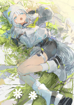 Rule 34 | 1girl, absurdres, animal ears, arknights, arknights: endfield, bandaid, bandaid on face, black gloves, black shorts, blue eyes, blush, commentary, english commentary, estella (arknights), fingerless gloves, gloves, highres, ichika (ichika87), jacket, long hair, on grass, open mouth, sandals, shorts, solo, tail, white hair, white jacket