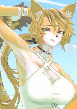 1girl animal_ear_fluff animal_ears arm_up armpits black_choker blonde_hair blue_sky body_fur breasts cat_ears cat_girl cat_tail choker cleavage fang furry furry_female green_eyes highres large_breasts long_hair looking_at_viewer outdoors parted_bangs ponytail pulchra_fellini shirt sky solo soretsu_nitohei tail very_long_hair white_shirt yellow_fur zenless_zone_zero