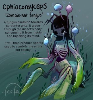 Rule 34 | 1girl, ant girl, arthropod girl, arthropod limbs, black hair, colored skin, cordyceps, educational, english text, extra arms, feefal, fungi, funguary, highres, long hair, monster girl, mushroom, mushroom girl, no nipples, original, personification, ribs, signature, solo, zombie