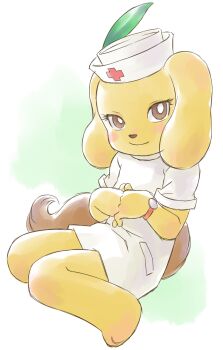 1girl animal animal_ears barefoot blush brown_eyes brown_fur cross cross_print dog dog_ears dog_girl dog_tail dress furry green_background hat hat_ornament leaf_hat_ornament looking_at_viewer miko-chan_(norakuro) norakuro nurse nurse_cap own_hands_together print_headwear red_cross short_sleeves sitting smile tail watch white_dress white_hat wristwatch yamanokonza