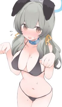 1girl animal_collar animal_ears bikini black_kimono blue_archive blue_collar blue_halo blush breasts brown_eyes cleavage collar commentary dog_ears dog_girl facing_viewer flying_sweatdrops from_above grey_hair hair_ribbon halo hands_up heavy_breathing highres hone_kawa japanese_clothes kimono large_breasts long_hair looking_at_viewer navel nose_blush open_mouth paw_pose pet ribbon bad_tag simple_background solo steam steaming_body swimsuit thighs umika_(blue_archive) white_background yellow_ribbon