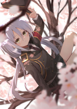 1girl absurdres araragi_(sakura_no_kumo_scarlet_no_koi) armband black_hat black_jacket black_necktie black_skirt blurry branch buttons cherry_blossoms collared_shirt commentary dappled_sunlight depth_of_field double-breasted dutch_angle feet_out_of_frame floating_hair grey_hair hair_between_eyes hat highres holding holding_unworn_clothes holding_unworn_hat jacket long_hair long_sleeves looking_at_viewer low_twintails miniskirt necktie nodoameyatou on_branch parted_lips pleated_skirt red_armband sakura_no_kumo_scarlet_no_koi shirt sitting skirt solo sunlight tree twintails unworn_hat unworn_headwear white_shirt yellow_eyes