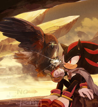 1boy bird black_fur cape chaos_emerald closed_mouth commentary_request eagle furry furry_male gloves grey_cape hedgehog_boy highres male_focus red_eyes shadow_the_hedgehog shaodw22 shoes signature sitting sonic_(series) white_gloves white_shoes