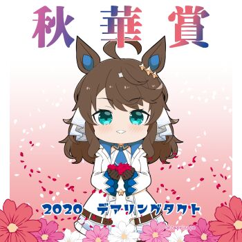 Rule 34 | 1girl, 2020, ahoge, animal ears, blue eyes, blush, brown hair, capriccyo, chibi, commentary request, daring tact (umamusume), dress, flower, gradient background, highres, holding, holding flower, horse ears, jacket, long hair, looking at viewer, petals, pink background, purple flower, red flower, shuka sho, smile, solo, translation request, twitter username, umamusume, white background, white dress, white jacket