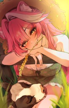 Rule 34 | 1girl, absurdres, animal ear fluff, animal ears, bare shoulders, blush, breasts, cat ears, cleavage, commentary, cow, english commentary, fangs, grass, hat, highres, hololive, hololive english, large breasts, long hair, looking at viewer, mouth hold, multicolored hair, outdoors, pink hair, raora panthera, smile, solo, stalk in mouth, straw hat, tyam, virtual youtuber, white hair, yellow eyes