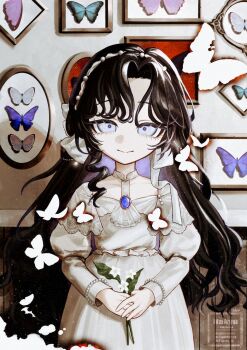 Rule 34 | 1girl, :>, aged down, black hair, blue butterfly, bug, butterfly, dress, flower, framed insect, hairband, hakyusiku, highres, holding, holding flower, insect, isolde (reverse:1999), juliet sleeves, long hair, long sleeves, looking at viewer, puffy sleeves, purple eyes, red pupils, reverse:1999, solo, upper body, watermark, white butterfly, white dress, white flower, white hairband, zoological specimen