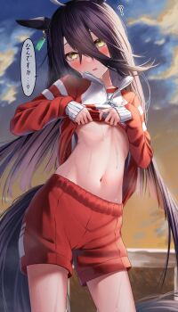1girl ? absurdres animal_ears black_hair cloud commentary_request evening hair_between_eyes highres horse_ears horse_girl horse_tail jacket lifting_own_clothes long_hair looking_at_viewer manhattan_cafe_(umamusume) outdoors red_shorts reo-illust4696 shorts sky solo stomach sweat tail tracen_training_uniform track_jacket umamusume yellow_eyes