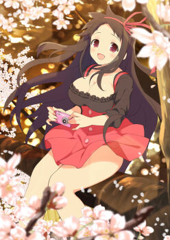 1girl :d ayame_(senran_kagura) border breasts brown_hair camera cherry_blossoms cleavage dress english_text game_cg hair_ribbon holding holding_camera in_tree large_breasts light_blush long_hair looking_at_viewer non-web_source official_alternate_costume official_art open_mouth red_eyes red_ribbon red_skirt ribbon senran_kagura senran_kagura_new_wave sitting sitting_in_tree skirt smile solo tree wind wind_lift