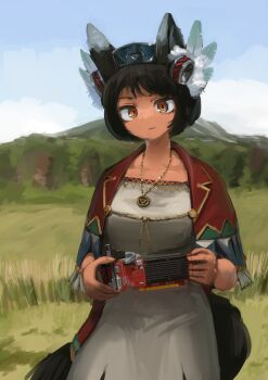 1girl absurdres animal_ears black_hair brown_eyes capelet dark-skinned_female dark_skin dress feather_hair_ornament feathers fox_ears fox_girl fox_tail graphics_card grey_dress hair_ornament highres holding hozumi_sousei looking_down mountain original short_hair solo tail