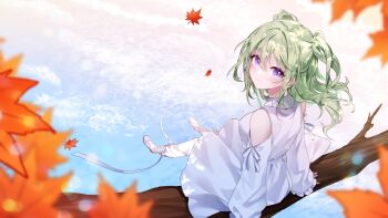 1girl absurdres autumn_leaves bandaged_foot bandages closed_mouth clothing_cutout commentary_request commission dabi_(15dldl15) dress falling_leaves frilled_sleeves frills green_hair highres in_tree korean_commentary leaf lens_flare long_sleeves looking_at_viewer looking_to_the_side medium_hair purple_eyes shoulder_cutout sitting sitting_in_tree sleeves_past_wrists solo stellive tree twintails virtual_youtuber water white_dress yuzuha_riko