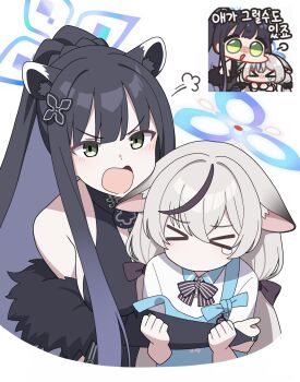 Rule 34 | 2girls, absurdres, angel's 24 uniform (blue archive), animal ear fluff, animal ears, apron, black dress, black hair, blue apron, blue archive, blue halo, china dress, chinese clothes, dress, green eyes, grey hair, halo, highres, kokona (blue archive), long hair, multicolored hair, multiple girls, polo shirt, shirt, short sleeves, shun (blue archive), siblings, sisters, store clerk, streaked hair, tiger ears, tiger girl, vector (dmlddmld00), very long hair, white shirt