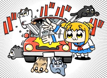 1girl :3 animal bkub black_cat blue_eyes blue_sailor_collar blue_skirt broken_glass brown_cat calico_(pattern) calico_cat car cat chibi chibi_only clenched_hand closed_mouth commentary dot_nose emphasis_lines glass grey_cat grey_shoes hair_ornament hair_scrunchie hitting jumping long_sleeves motion_lines motor_vehicle multiple_cats neckerchief official_art orange_eyes orange_hair poptepipic popuko red_car red_neckerchief sailor_collar school_uniform scrunchie serafuku shirt shoes short_hair sidelocks simple_background skirt slapping socks solo sound_effects tabby_cat translation_request two_side_up white_background white_cat white_shirt white_socks yellow_eyes yellow_scrunchie